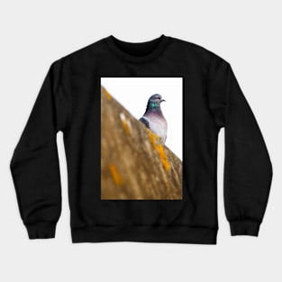 His Majesty Crewneck Sweatshirt